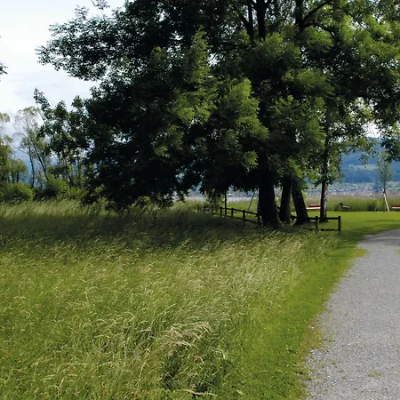 Rapperswil-jona Youth