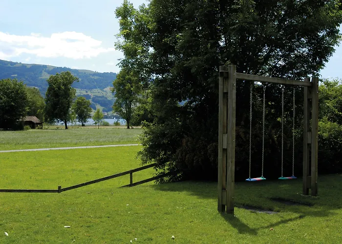 Rapperswil-jona Youth *