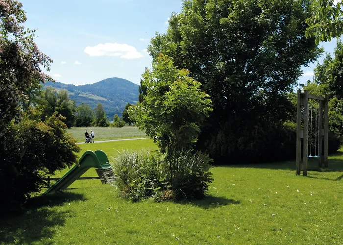 Rapperswil-jona Youth